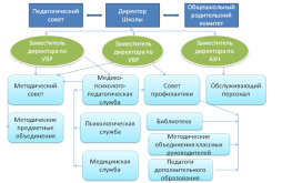 Структура образовательной организации